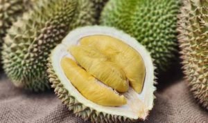 Pentingnya Ekspor Durian