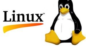 Sejarah Berdirinya Perusahaan Linux