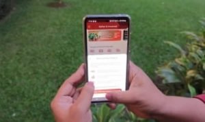 Terjerat Utang "Lintah Darat Digital"? Ini Solusi Aman dari CIMB Niaga