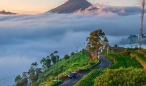 Wisata Dieng: Pesona Negeri di Atas Awan yang Selalu Bikin Rindu
